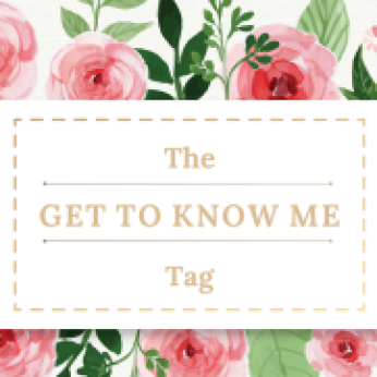 THE GET TO KNOW ME TAG[1]